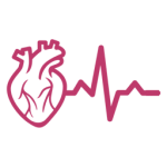 blood-supply-system2 blood-supply-system2